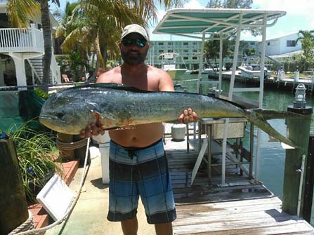 Middle Grounds Fishing Pictures And Charter Trips